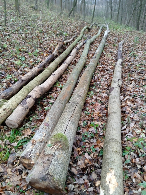 IMG_20211126_135415_1