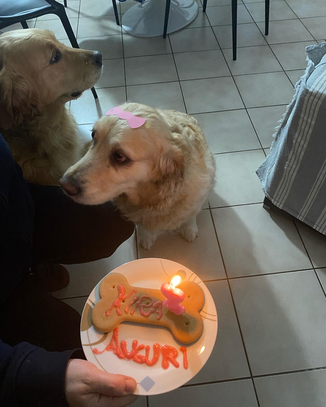 86726B91-705B-4FC6-BEAB-2E49E88127FD