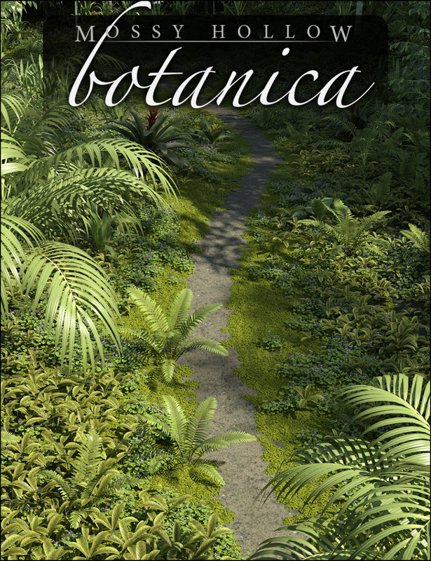 Mossy Hollow Botanica Mossy Hollow Botanica