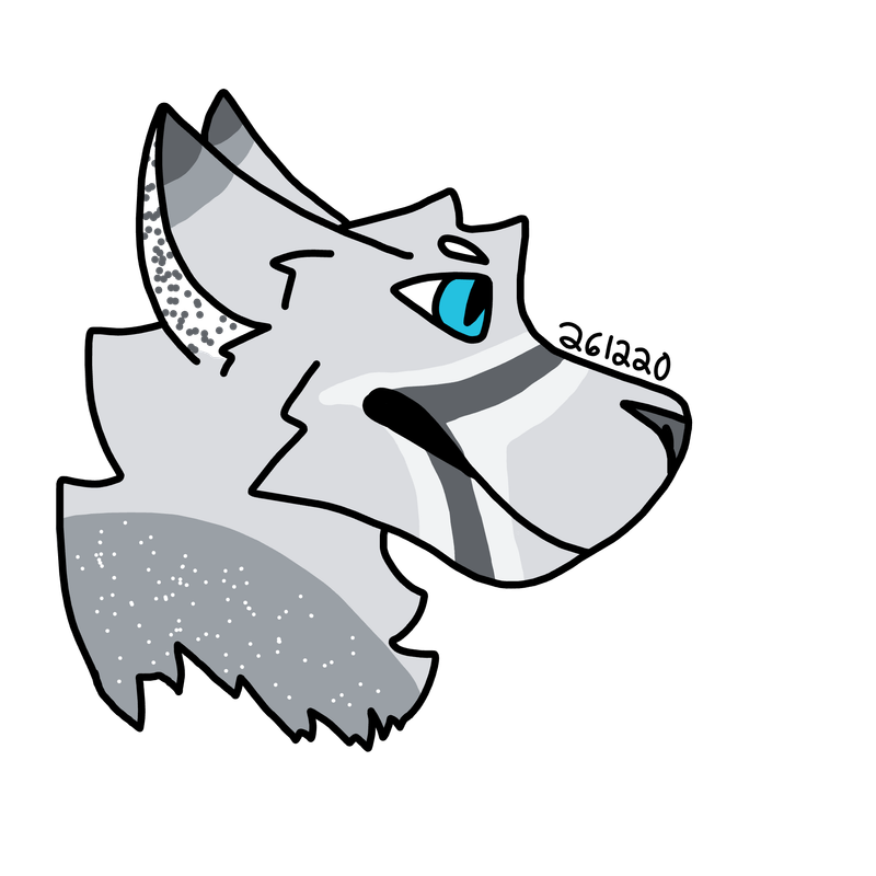 Sw-ifty.png