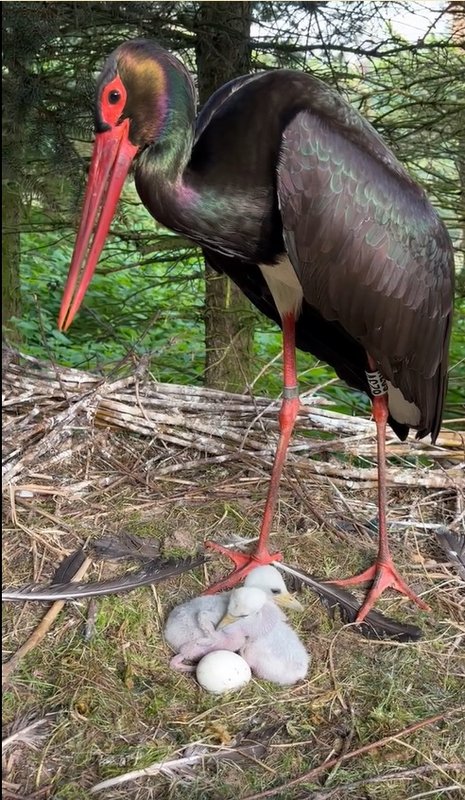 2023-05-20 makov video FB LŠ