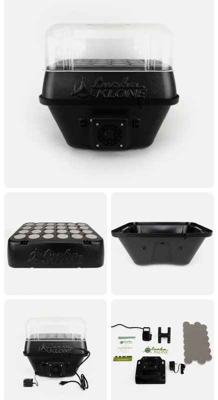 BFB06D00-A50A-4A98-B090-112B003B1463