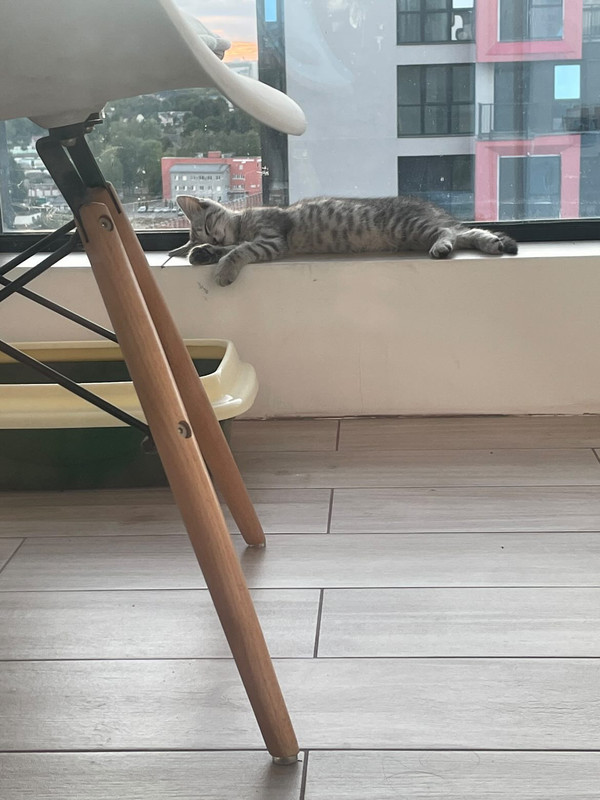 A146827A-BFB6-4669-AA9E-70C78349F890