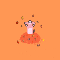 Fall_leaves_thrown_up
