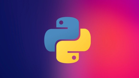 Udemy  Learn Python Basics