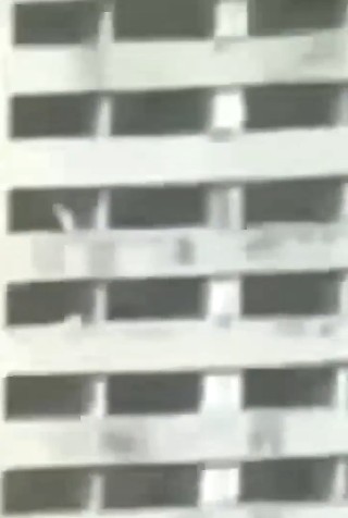 https://i.postimg.cc/x17qWqfY/imige-8.jpg