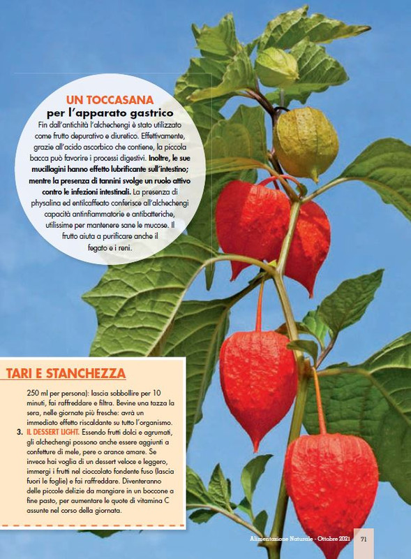 Alim Nat Ott 2021 (10)