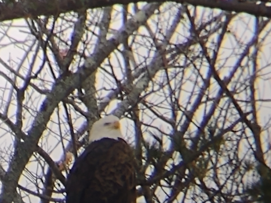 IMG_20210103_095030871