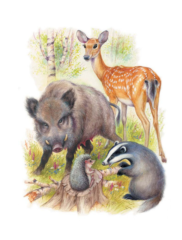 Shim-Eduard-Skazki-o-zhivotnyh-2020-page-0005