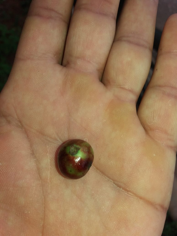 WhatsApp Image 2020-11-29 at 18.27.32 (8)