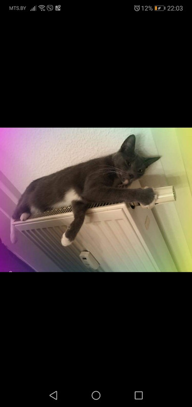 Серж на батарее