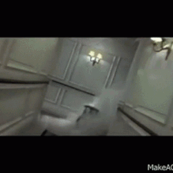 diary25.gif