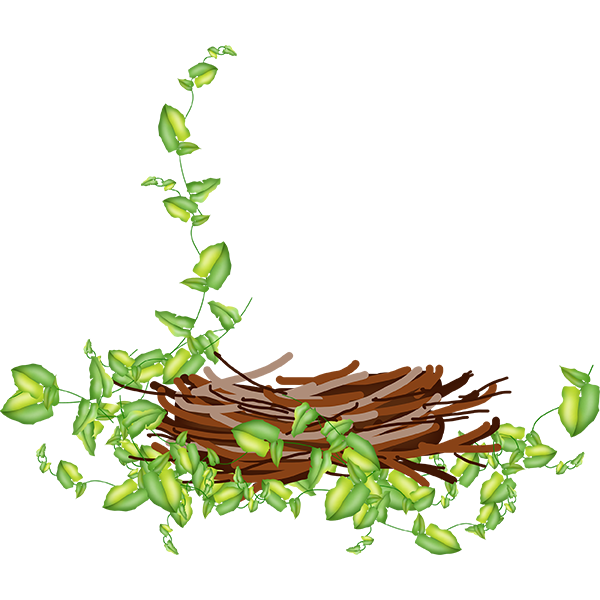 KBK_ForestSchool (119)