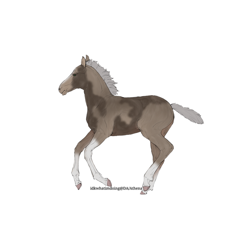 Untitled88-20250725185016.png