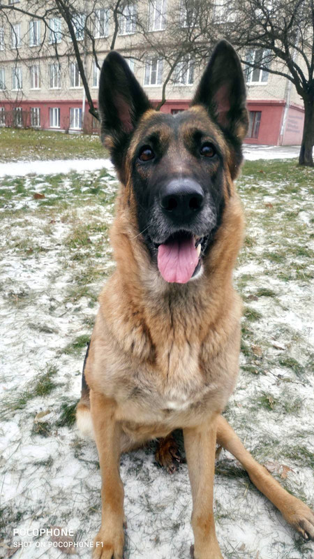 IMG-9b8197c67dd2bf87701070320139ed46-V