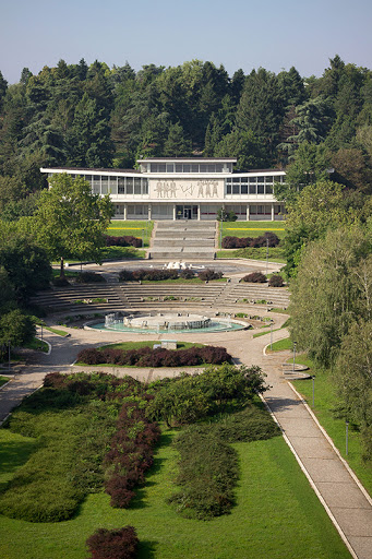 OTOK-iz-pers-pektive