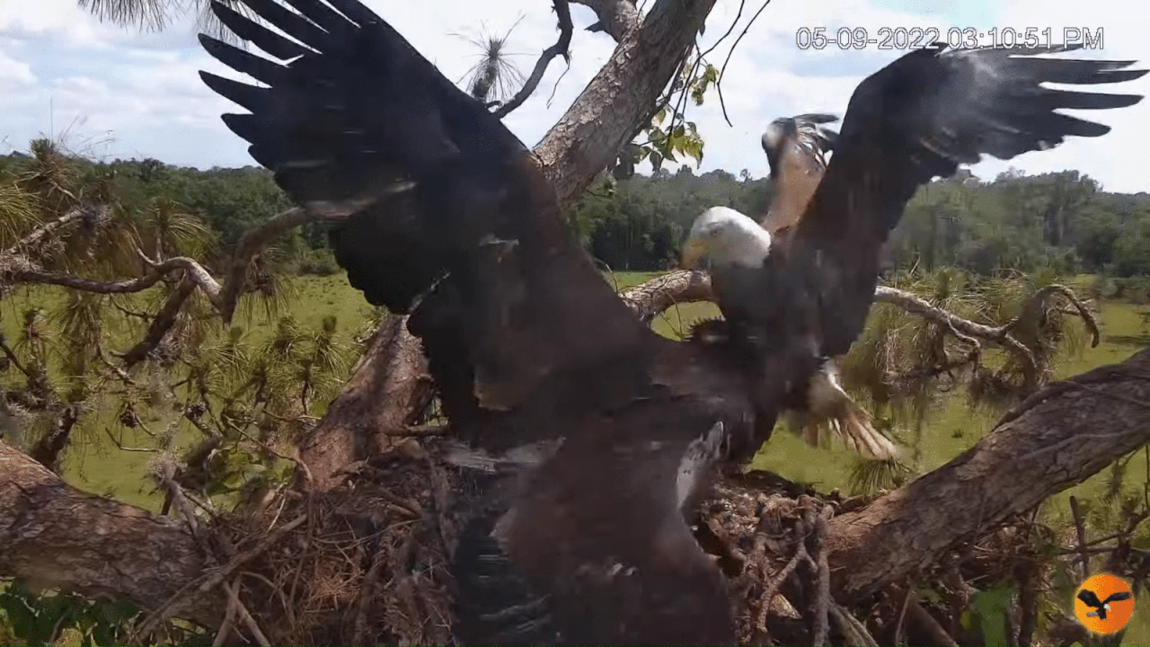 Webp.net-gifmaker (3)