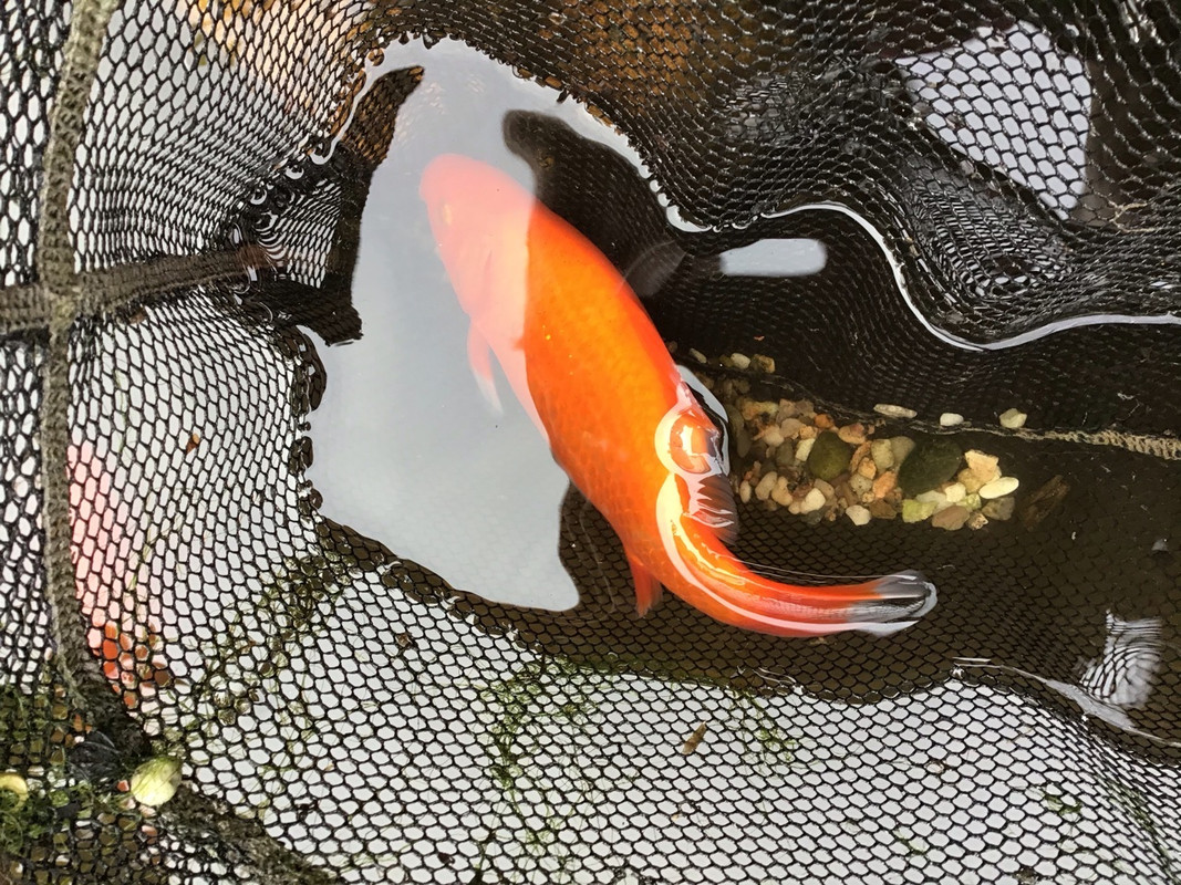 6BED46E8-37FA-495D-938F-12AD91FCCF7F