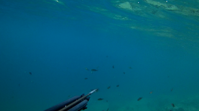 received_496681144022726