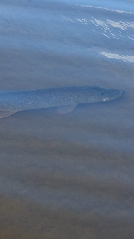 757b9ecb-5bea-40dd-9a4b-d5a24ed5410a