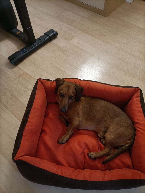 [Image: thumbnail-IMG20210619213202.jpg]