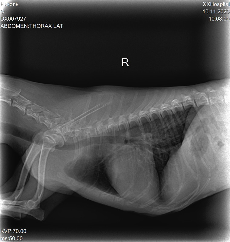 DX007927_2
