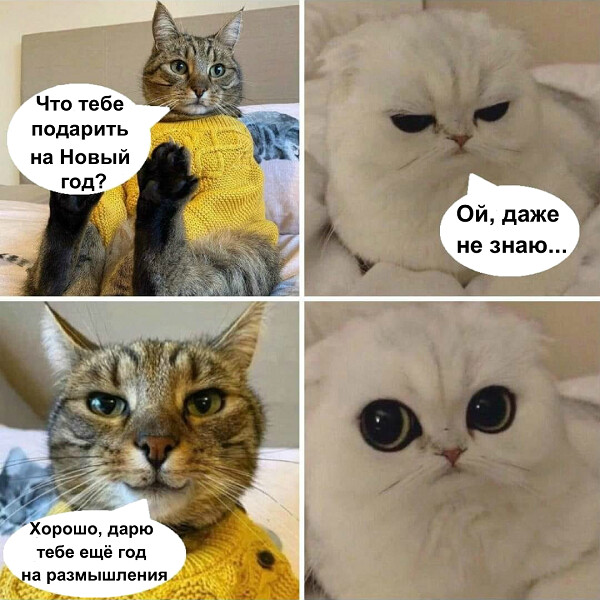 image - 2021-02-22T013602.792