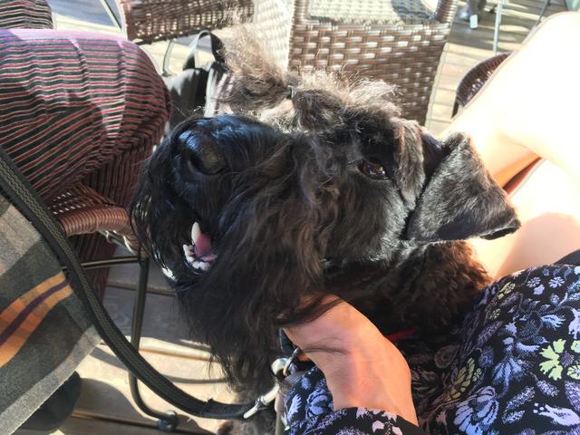 E6_F0728_A-57_B6-4_A99-8_B63-_FD573_AC61