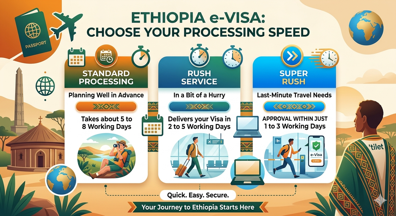 Gemini Generated Image ojj9d1ojj9d1ojj9