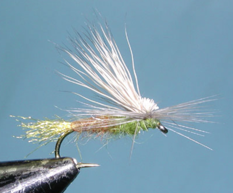 B35B8D09-8A5D-4AFB-A947-BBD453E892B3