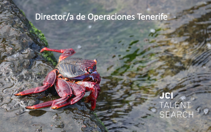 Director de Operaciones Grupo Hotel Tenerife 