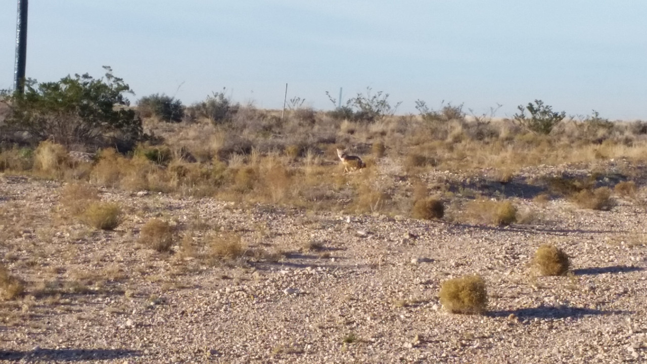 20191202_164455