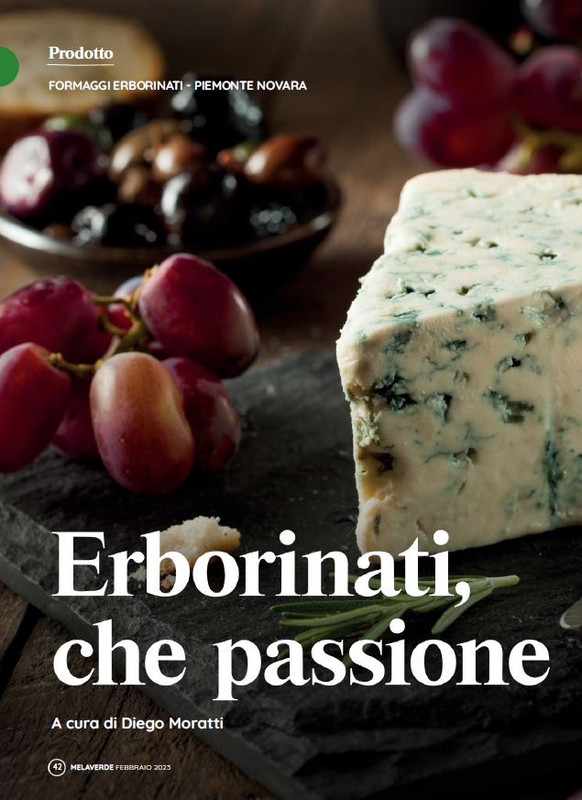 melaverde Feb 2023 (3)