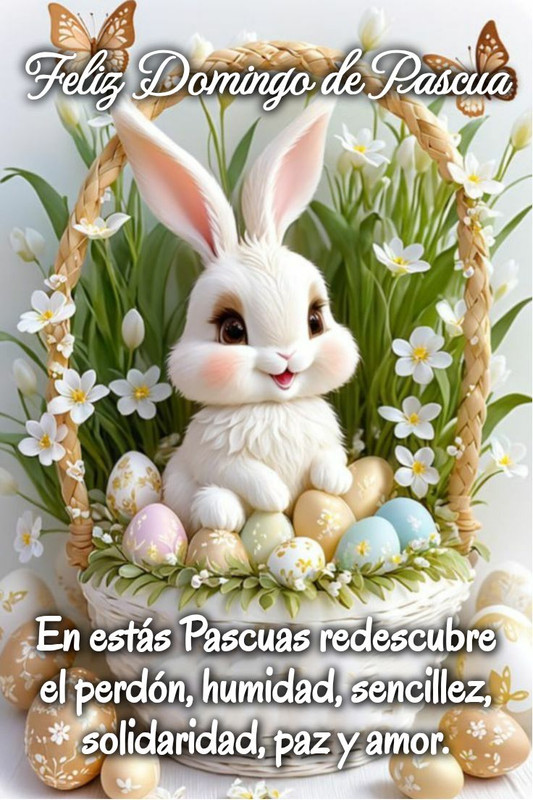 08c2867650cf792a933a5eb87fc6289c