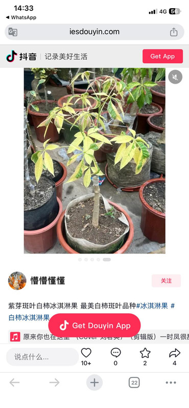IMG 20260301 WA0009