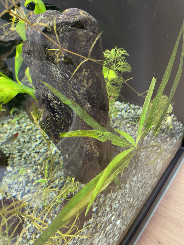 60109AC3-6654-4BD2-B00C-91A00573CE5A