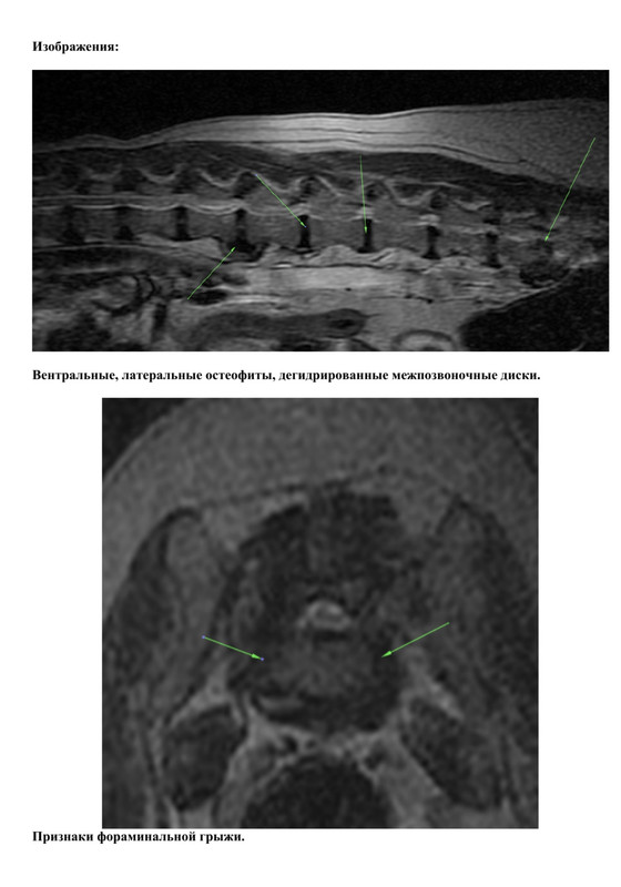 1B220B6D-0410-45FE-A4A1-A2239670CCD7