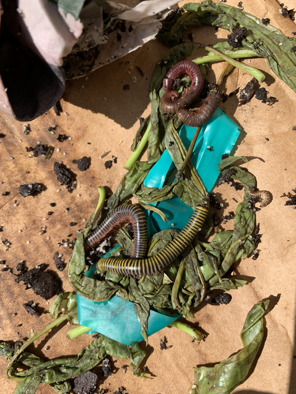 0FDA671A-E513-49FA-BFB4-4E218FC1D7CC