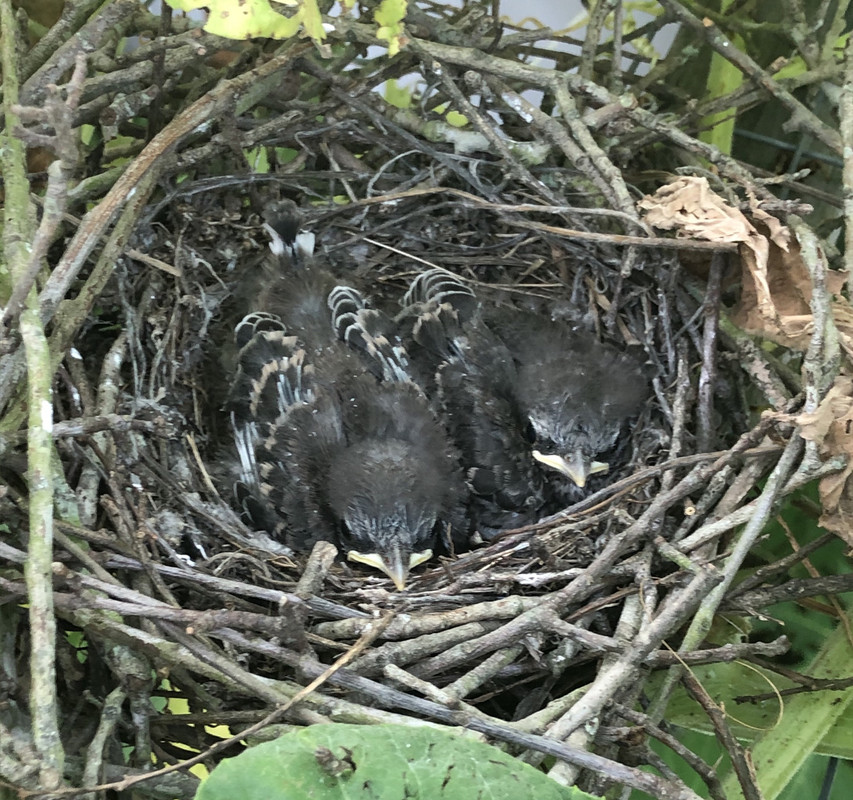 A018CA31-A613-4053-B7D9-9A3AA332CE87