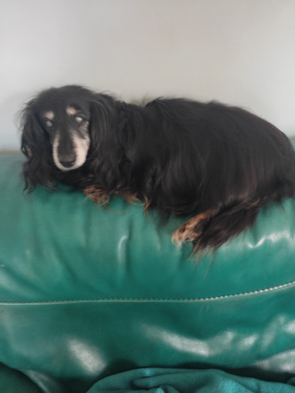 [Image: IMG-20230215-104947.jpg]