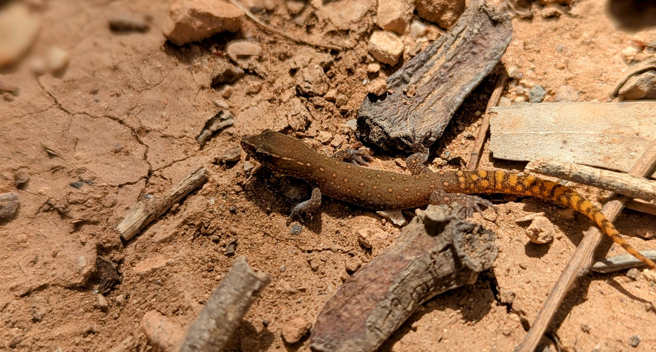 PXL_20250417_105141004.PORTRAIT-EDIT