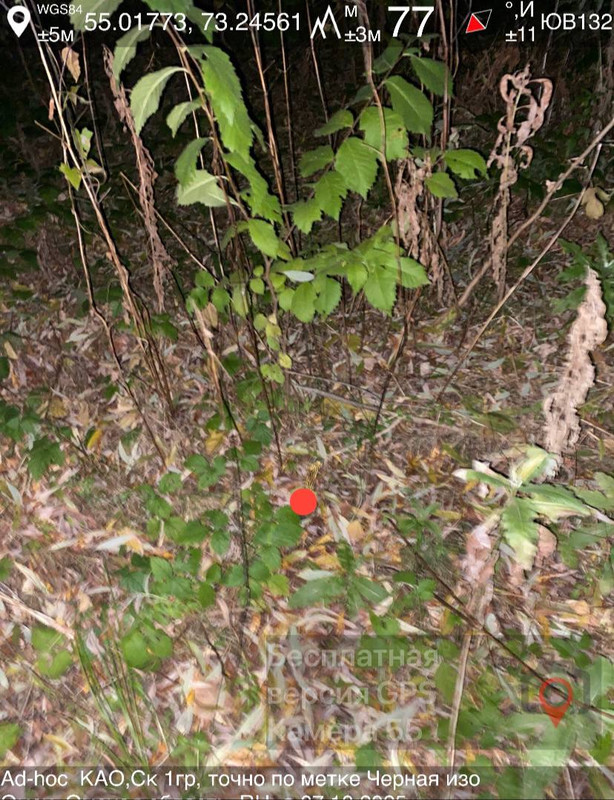 photo_29_2025-10-07_15-32-45