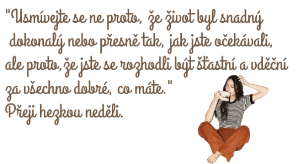 Nov-projekt.png