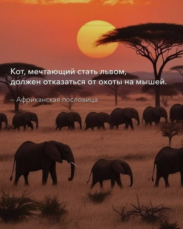 [Изображение: 9428449fb7e20a9b3306851e1ffff49a.jpg]