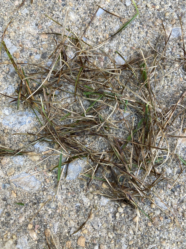 7BFE915E-5B96-4FA3-BC46-7AAC423C9DCA