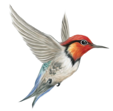 birds pngsticker p-png Free Transparent PNG image in precap