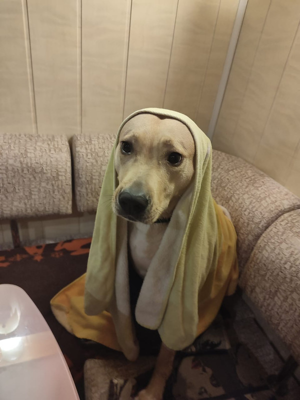 BF264B1B-E3D6-44C3-A58A-6ACAC1A5458F