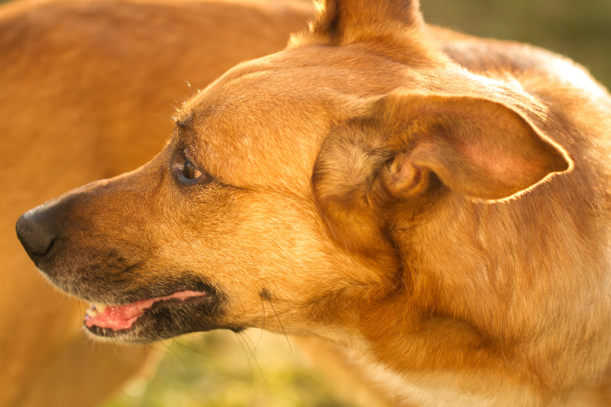 без имени-5347