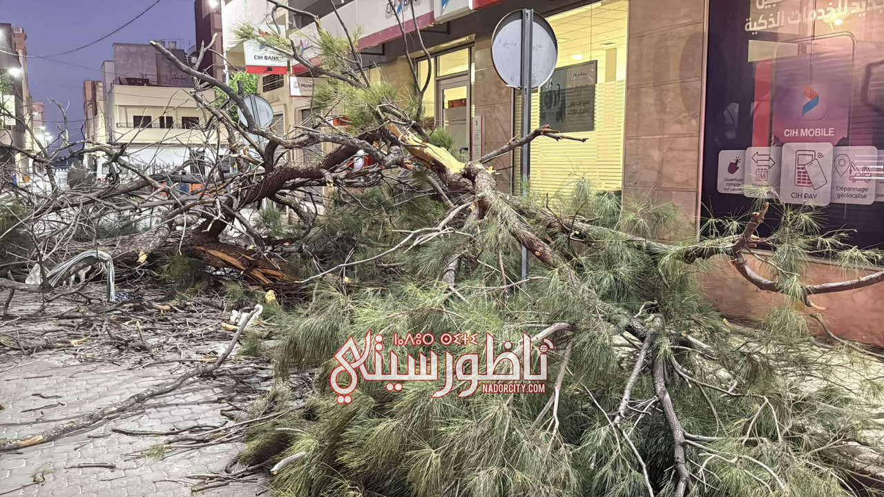 575503285-1124833589413978-1137562750207038786-n