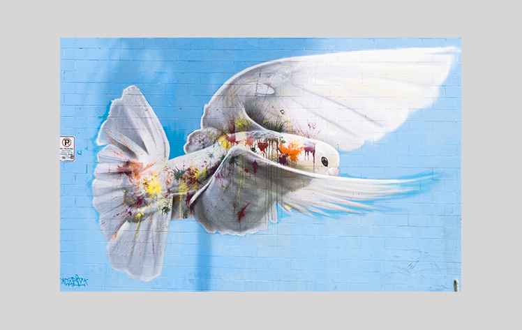 Dove Graffiti